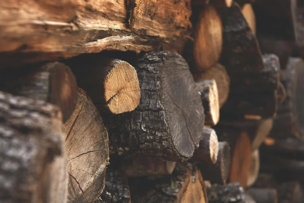W jakie narzędzia do obróbki drewna warto zainwestować? Dowiedz się!